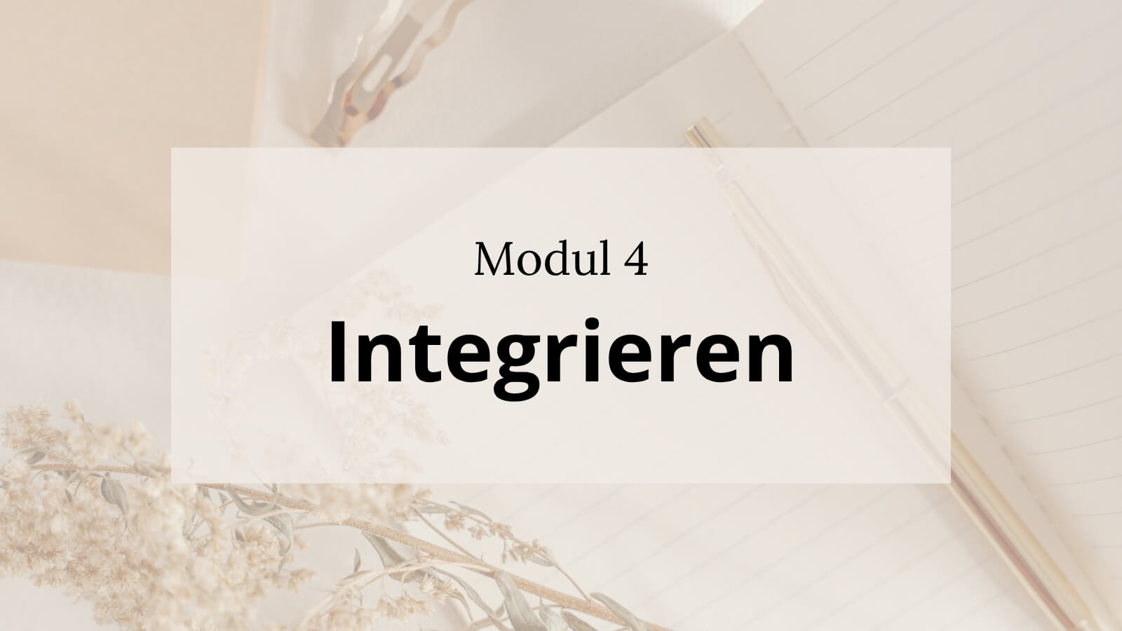 Cover-Modul4-Integrieren